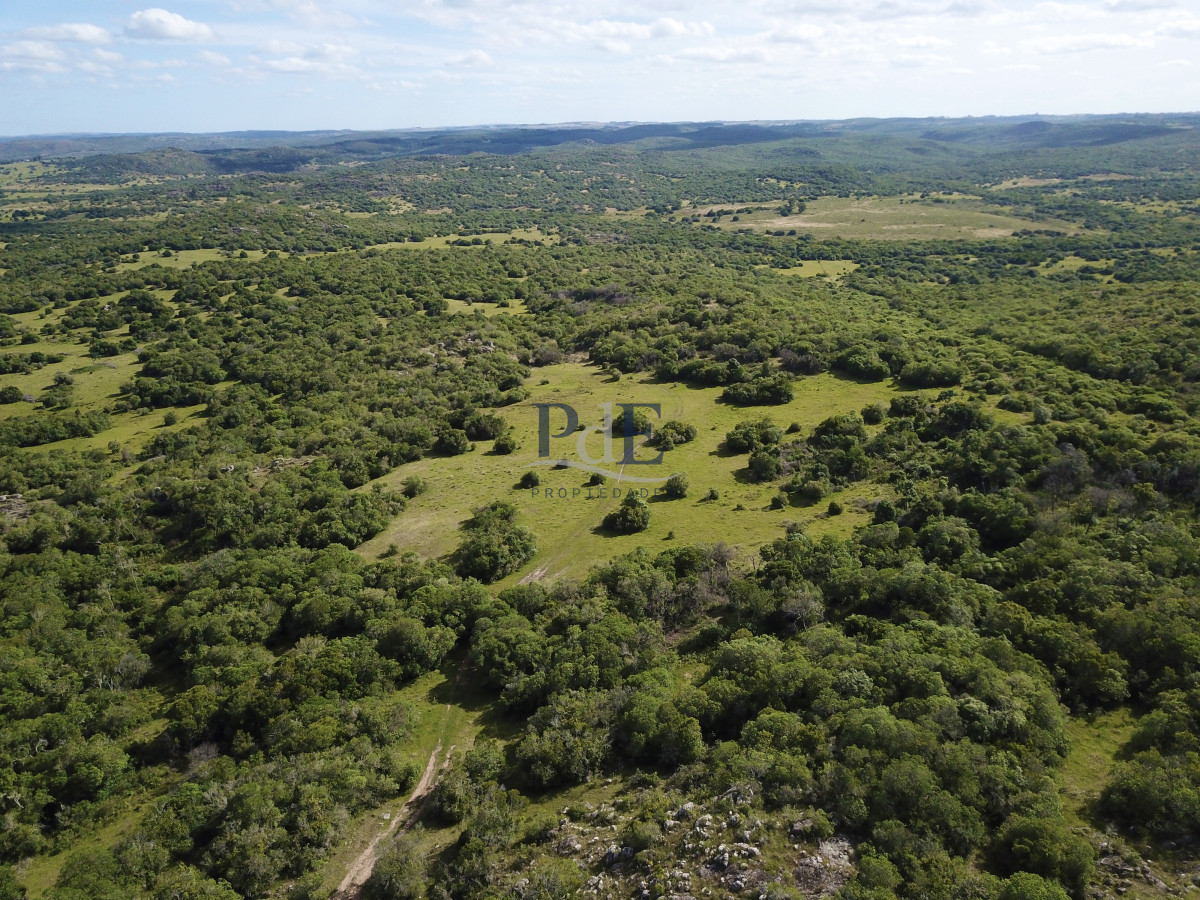 Sierras de Lavalleja | Polanco | Campo en venta | 1.033 hectáreas