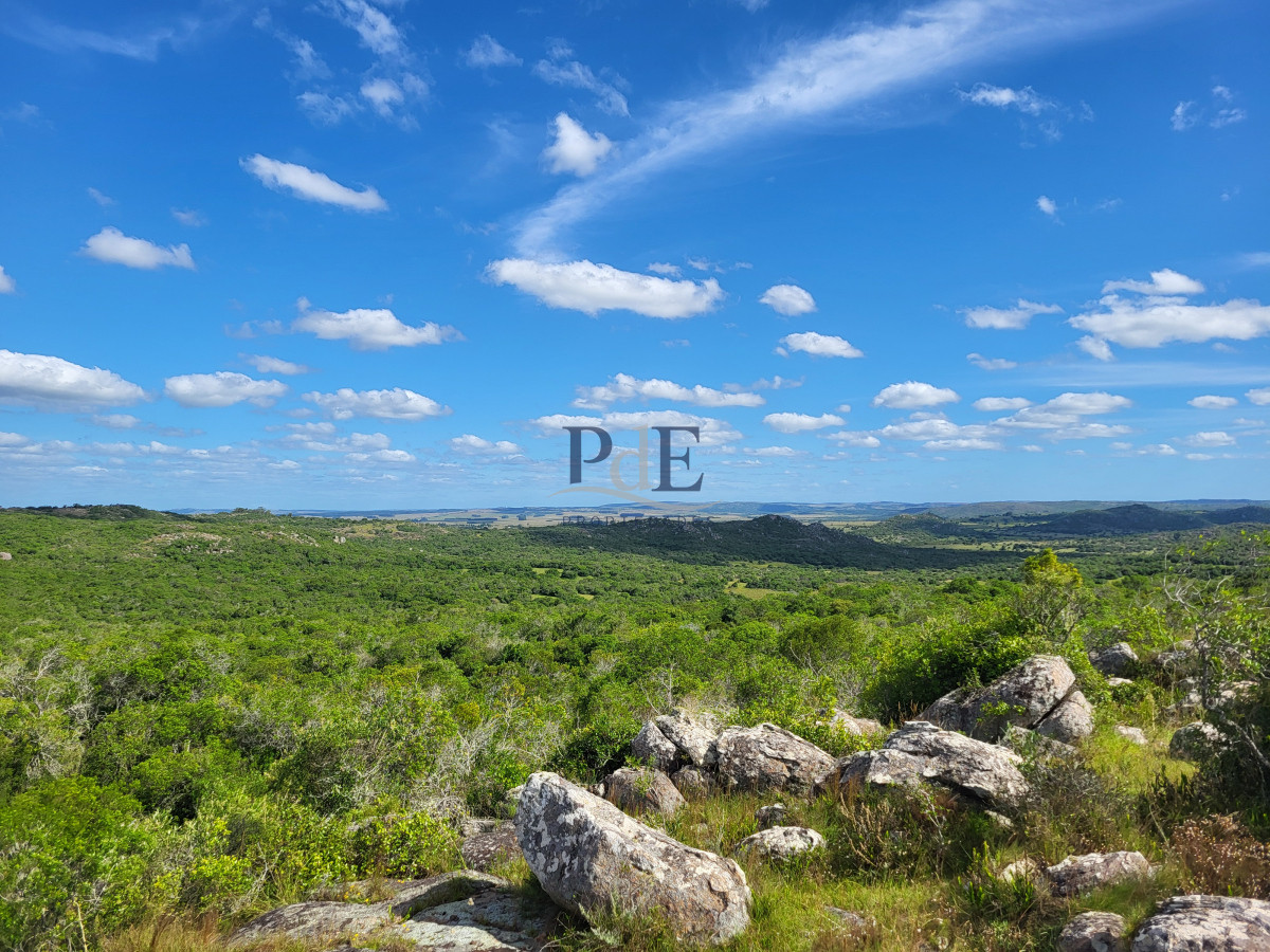 Sierras de Lavalleja | Polanco | Campo en venta | 1.033 hectáreas - Imagen 20