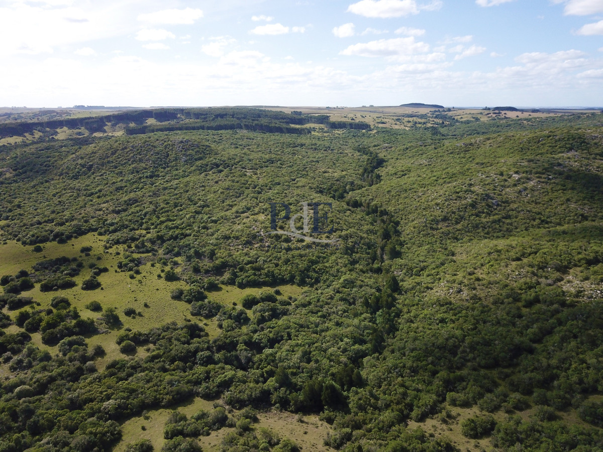 Sierras de Lavalleja | Polanco | Campo en venta | 1.033 hectáreas - Imagen 1