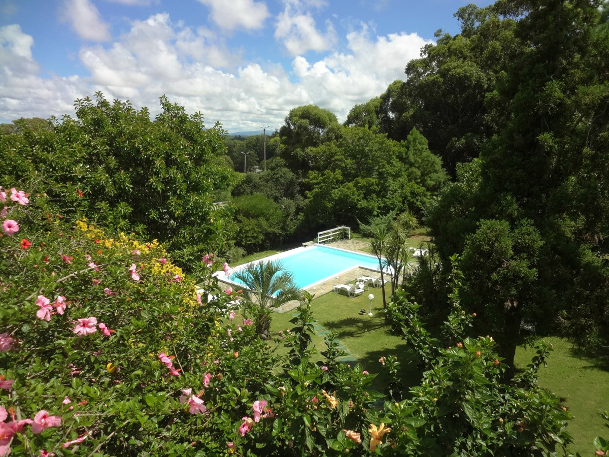 Punta Ballena - GoPunta - Portal Inmobiliario de Punta del Este - Maldonado