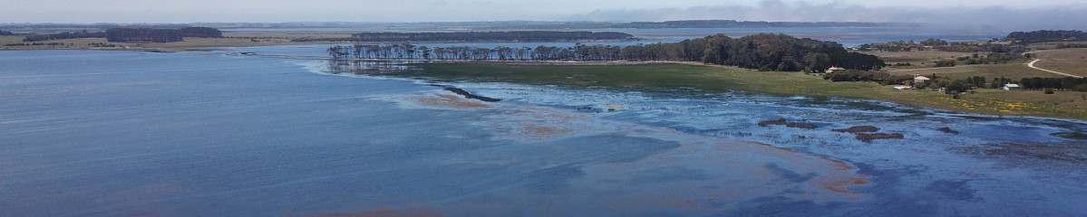 CHACRA SOBRE LAGUNA ANASTASIO JOSE IGNACIO PUNTA DEL ESTE