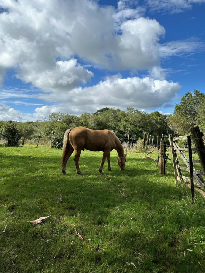 Lavalleja - GoPunta - Portal Inmobiliario de Punta del Este - Maldonado