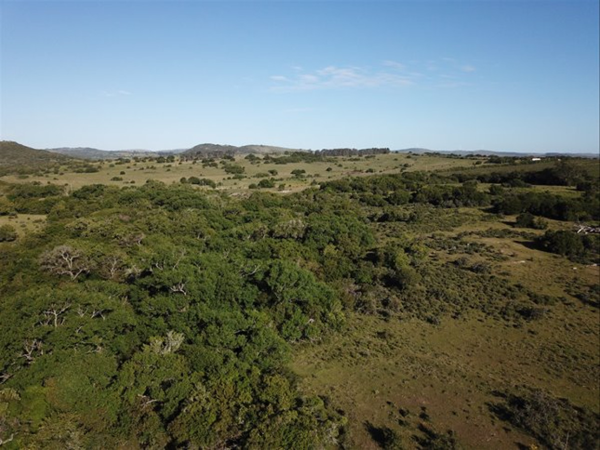 Pueblo Eden - GoPunta - Portal Inmobiliario de Punta del Este - Maldonado