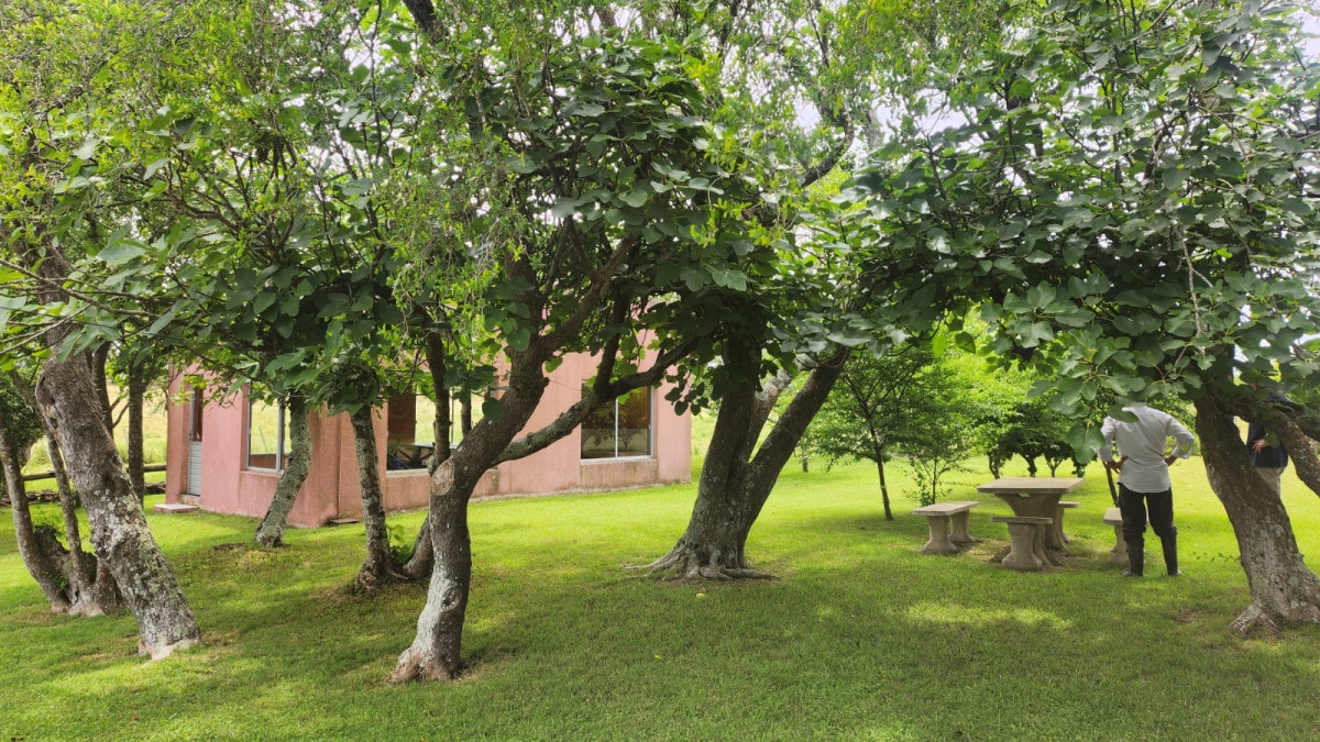 Pueblo Eden - GoPunta - Portal Inmobiliario de Punta del Este - Maldonado