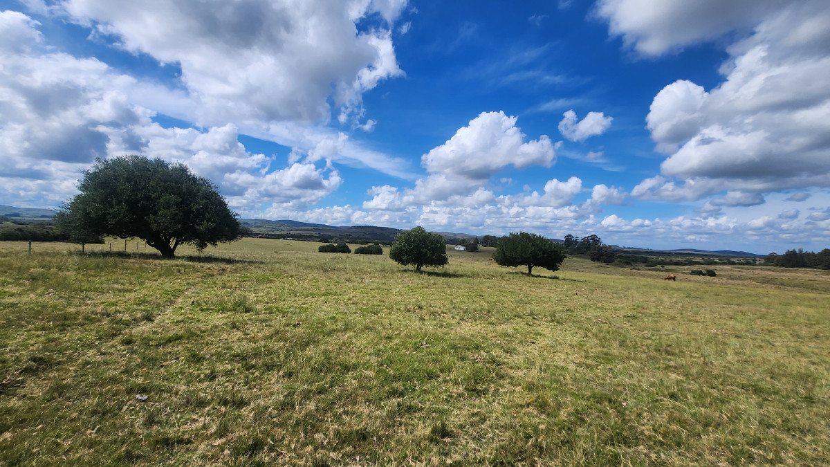 Pueblo Eden - GoPunta - Portal Inmobiliario de Punta del Este - Maldonado