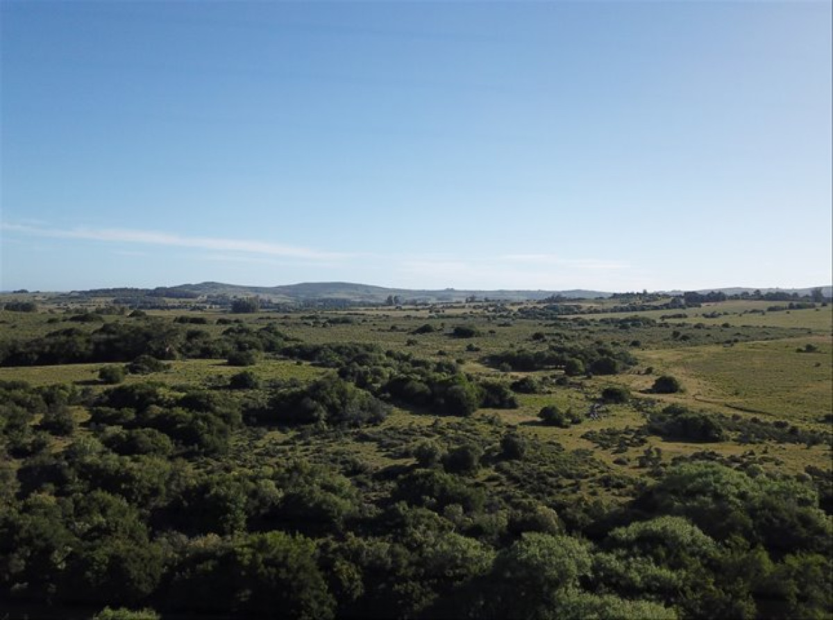 Pueblo Eden - GoPunta - Portal Inmobiliario de Punta del Este - Maldonado