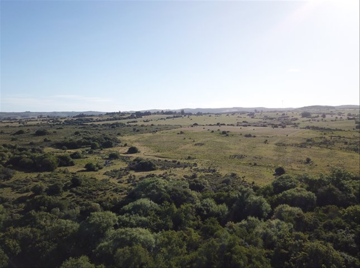 Pueblo Eden - GoPunta - Portal Inmobiliario de Punta del Este - Maldonado