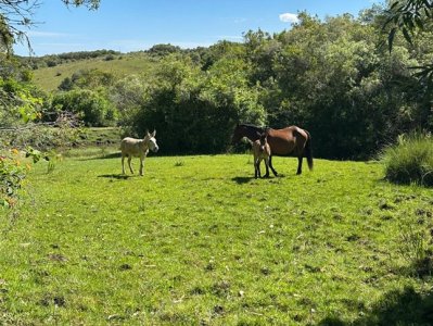 VENTA CHACRA LAVALLEJA PROXIMA A MINAS