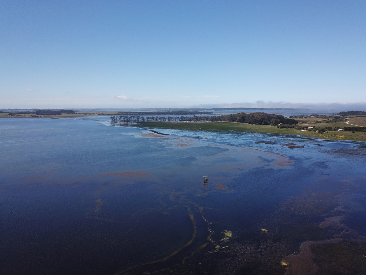 CHACRA SOBRE LAGUNA ANASTASIO JOSE IGNACIO PUNTA DEL ESTE