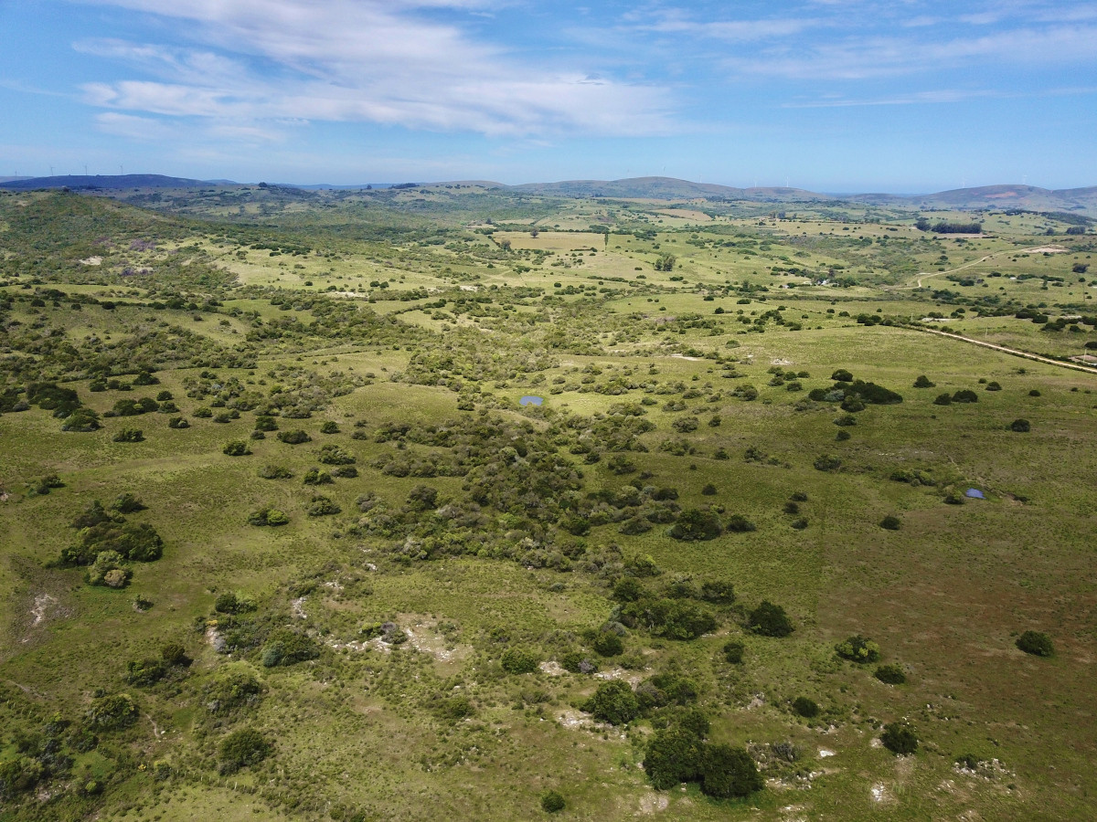 Venta Chacra Pueblo Eden - 5 hectáreas