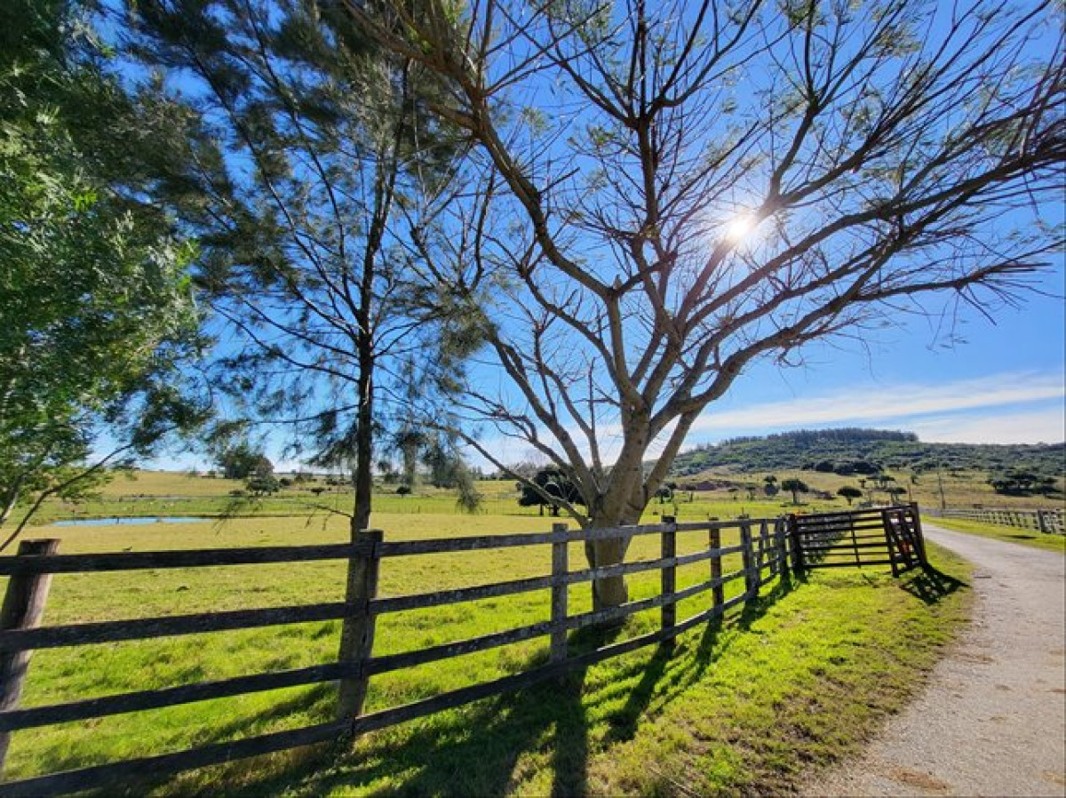 VENTA ESTABLECIMIENTO RURAL EN PUEBLO EDEN - GoPunta - Portal Inmobiliario de Punta del Este - Maldonado
