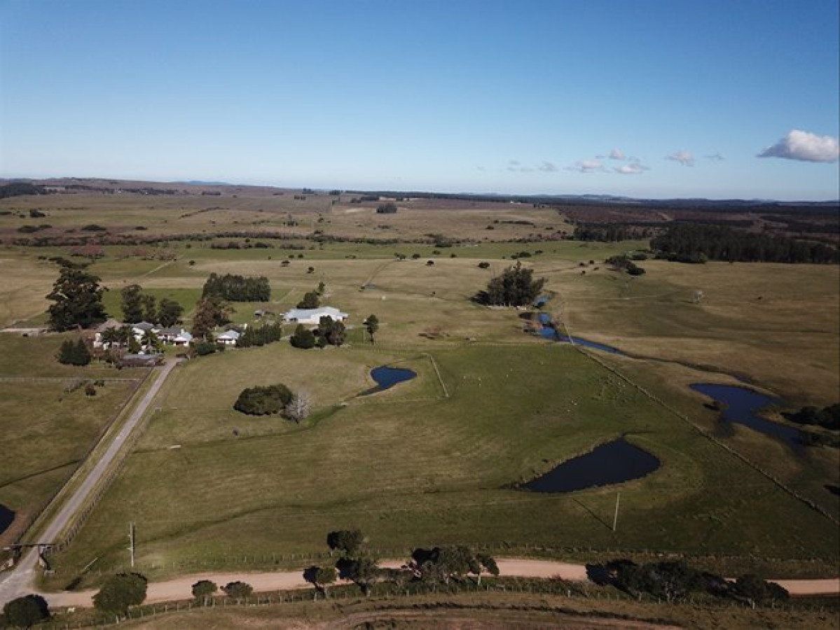 VENTA ESTABLECIMIENTO RURAL EN PUEBLO EDEN - GoPunta - Portal Inmobiliario de Punta del Este - Maldonado
