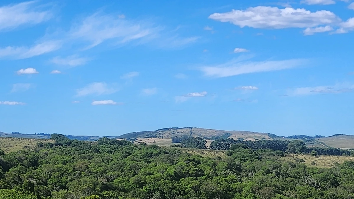 Campo 60 hs en Pueblo Edén Ruta 12 - GoPunta - Portal Inmobiliario de Punta del Este - Maldonado