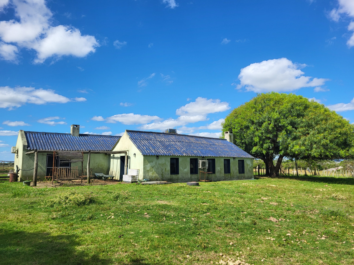 VENTA CAMPO 1.075 HECTAREAS SIERRAS DE LAVALLEJA - GoPunta - Portal Inmobiliario de Punta del Este - Maldonado