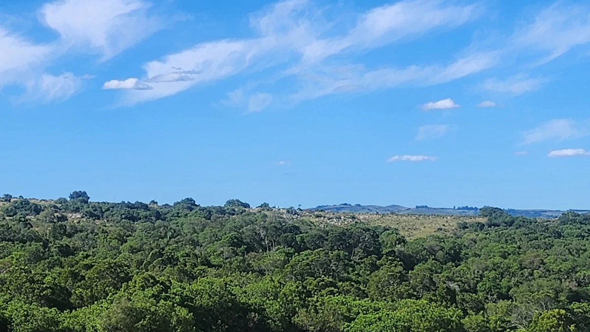 Campo 60 hs en Pueblo Edén Ruta 12 - GoPunta - Portal Inmobiliario de Punta del Este - Maldonado