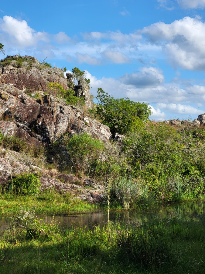 VENTA CAMPO 1.075 HECTAREAS SIERRAS DE LAVALLEJA - GoPunta - Portal Inmobiliario de Punta del Este - Maldonado