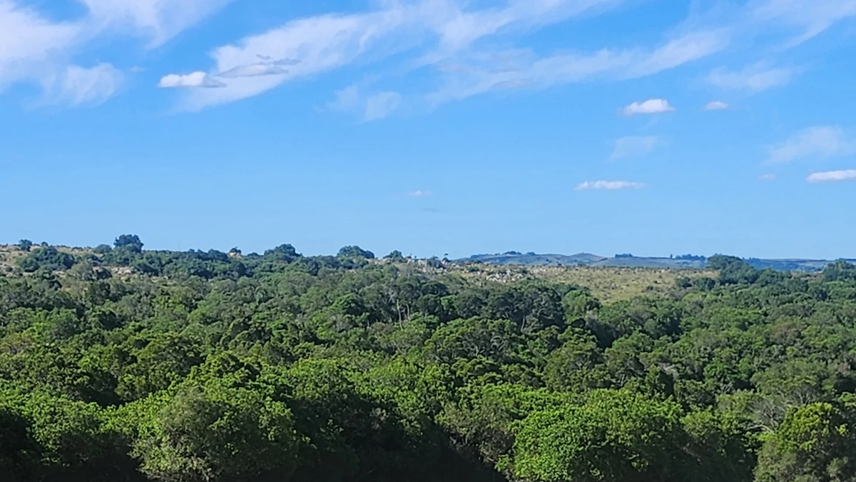 Campo 60 hs en Pueblo Edén Ruta 12 - GoPunta - Portal Inmobiliario de Punta del Este - Maldonado