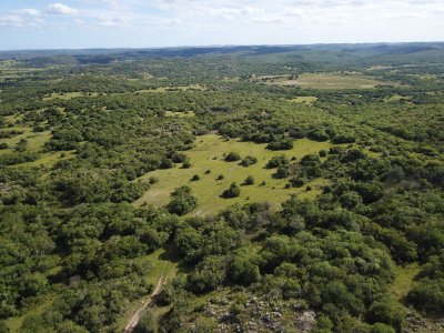 VENTA CAMPO 1.075 HECTAREAS SIERRAS DE LAVALLEJA