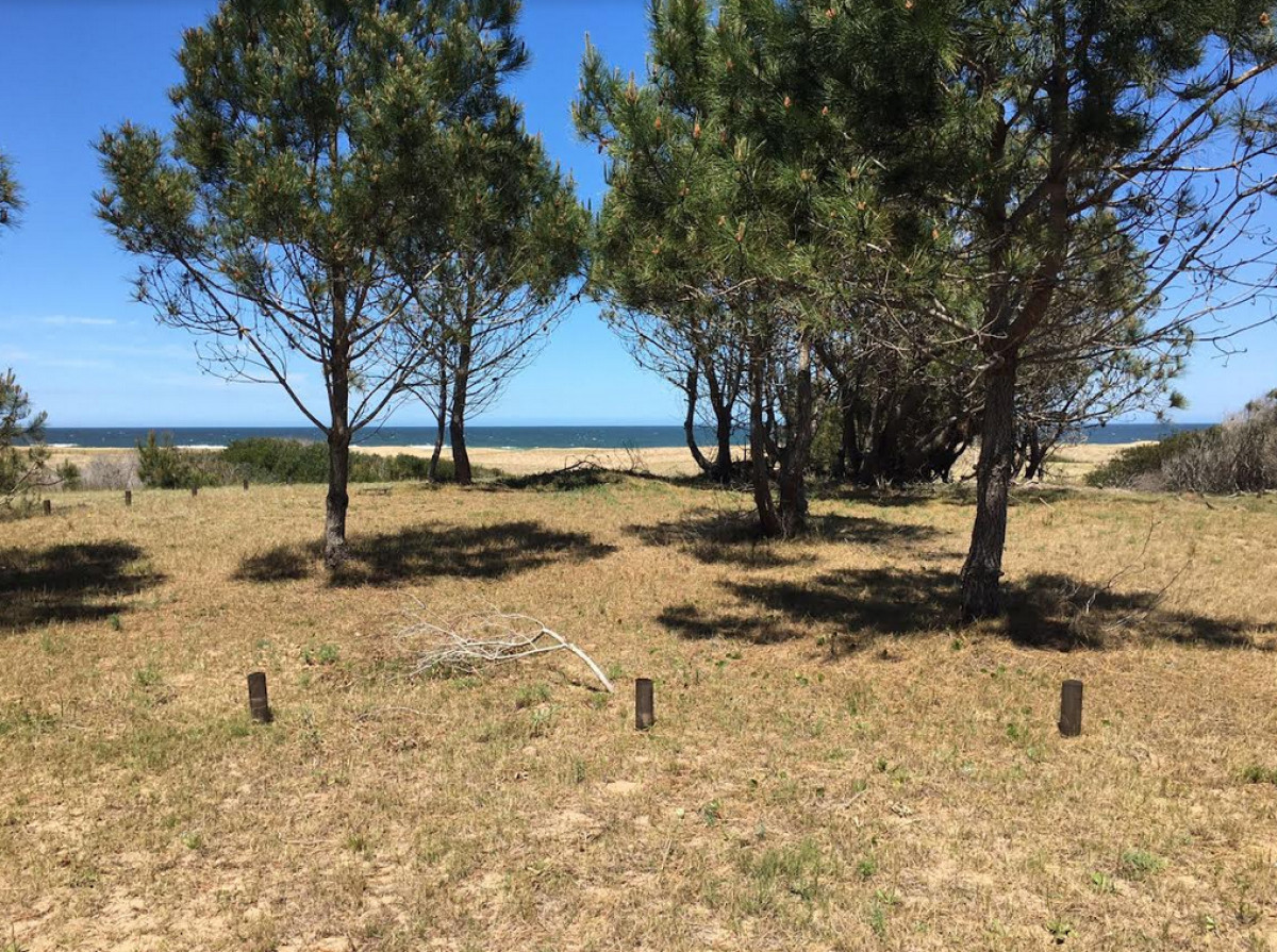 San Antonio - GoPunta - Portal Inmobiliario de Punta del Este - Maldonado