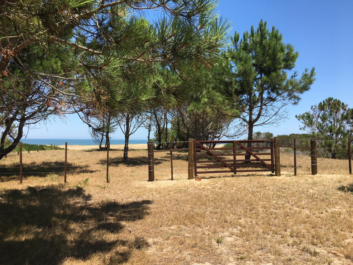 San Antonio - GoPunta - Portal Inmobiliario de Punta del Este - Maldonado