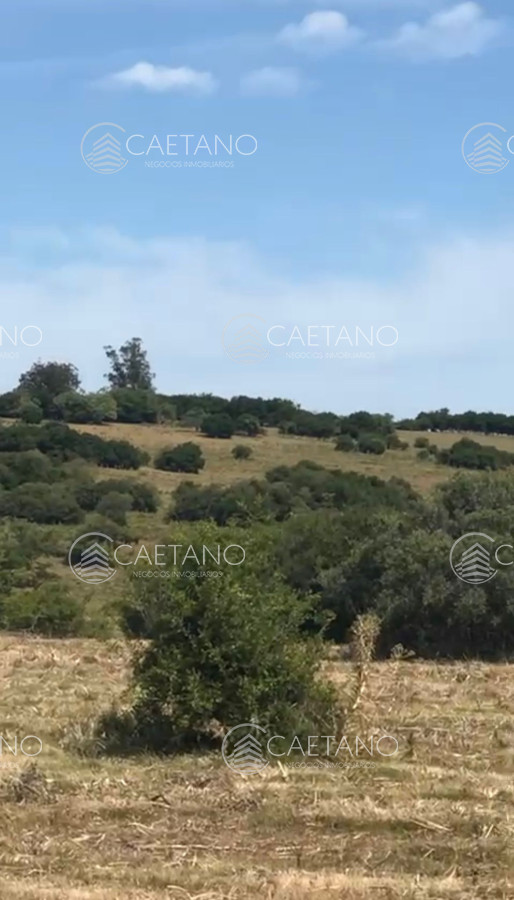 Pueblo Eden - GoPunta - Portal Inmobiliario de Punta del Este - Maldonado