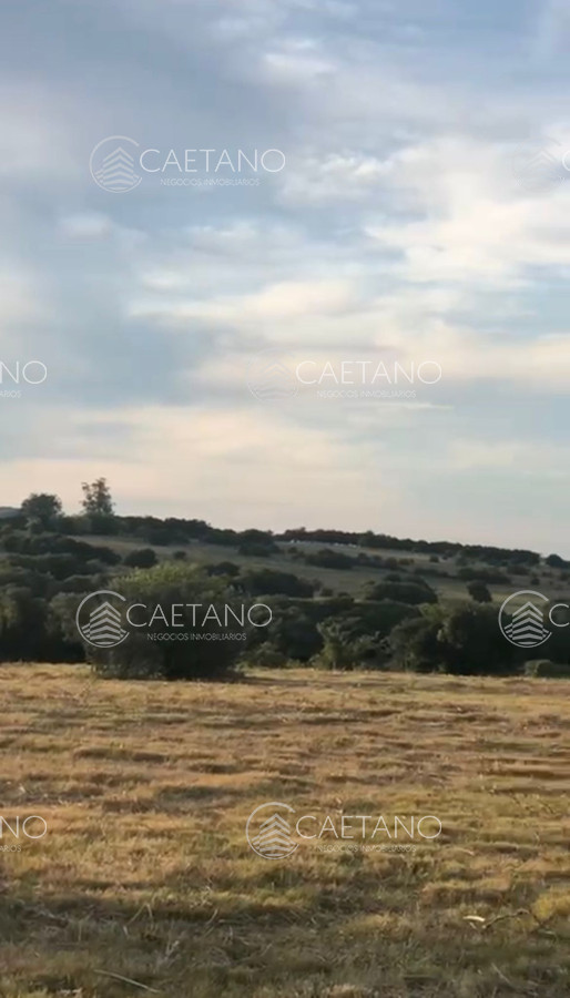 Pueblo Eden - GoPunta - Portal Inmobiliario de Punta del Este - Maldonado