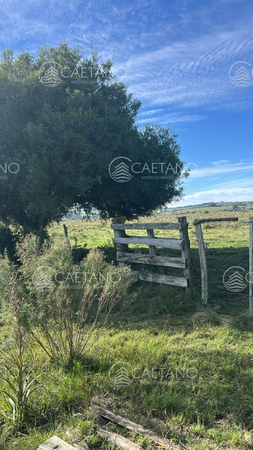 Pueblo Eden - GoPunta - Portal Inmobiliario de Punta del Este - Maldonado