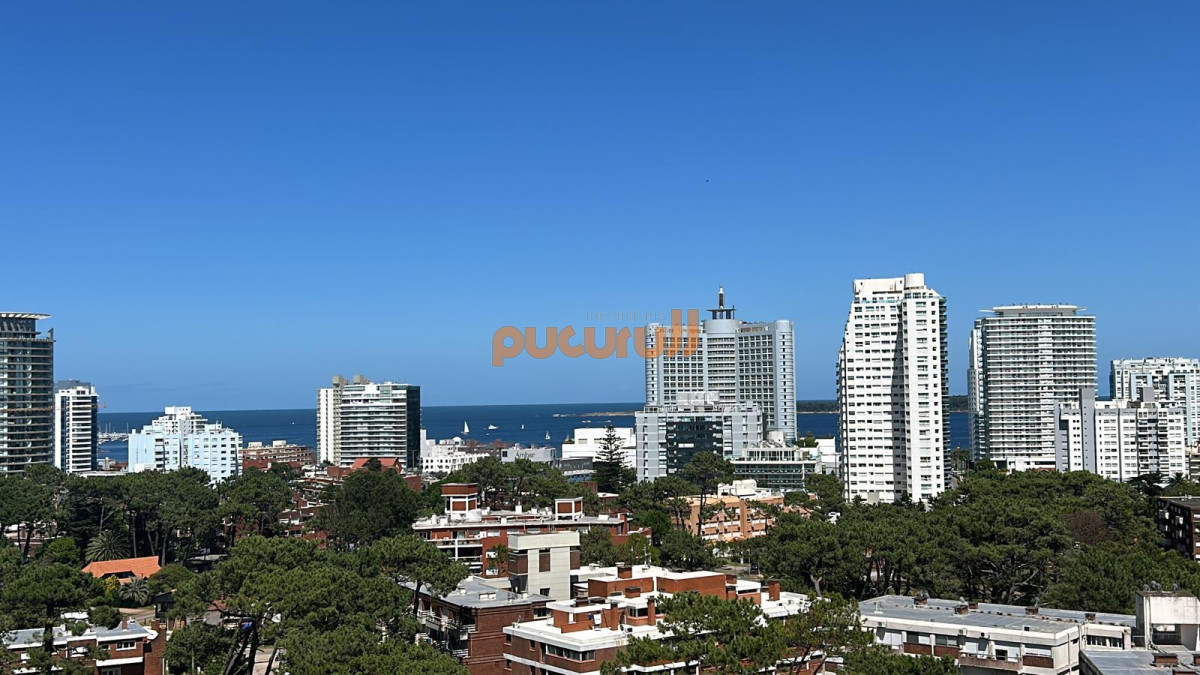 Aidy Grill - GoPunta - Portal Inmobiliario de Punta del Este - Maldonado
