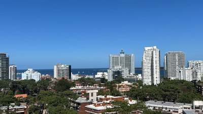 Piso alto con vista