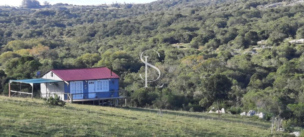 Chacra ID.149 - Chacra de 5 hts en Carape 