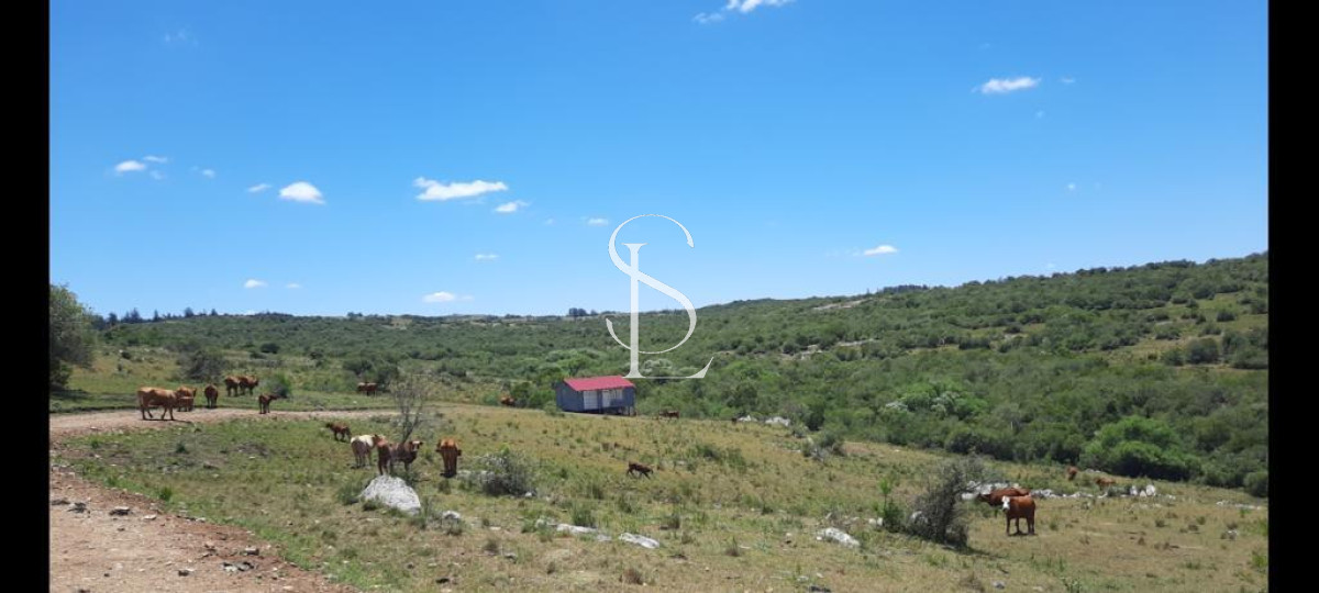 Chacra ID.149 - Chacra de 5 hts en Carape 
