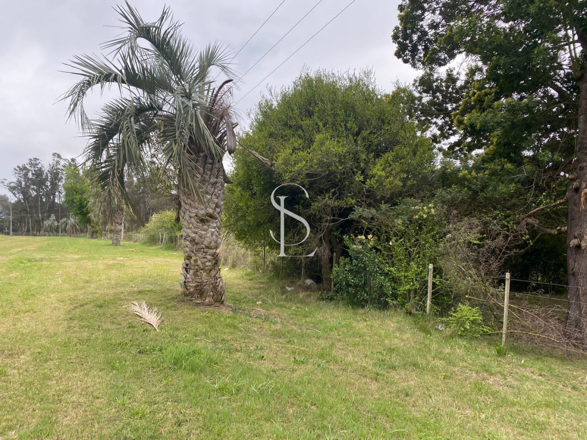 Chacra ID.58 - Chacra sobre ruta 104