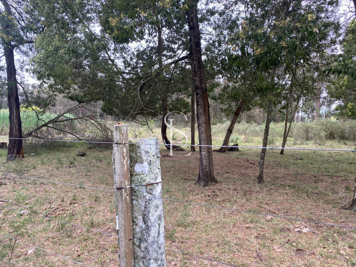 Chacra ID.58 - Chacra sobre ruta 104