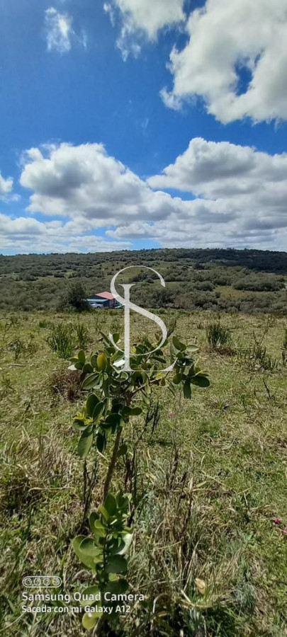 Chacra ID.149 - Chacra de 5 hts en Carape 