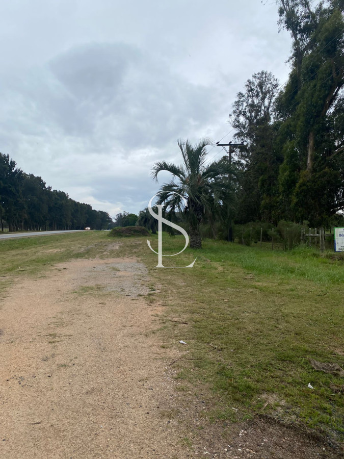 Chacra ID.58 - Chacra sobre ruta 104