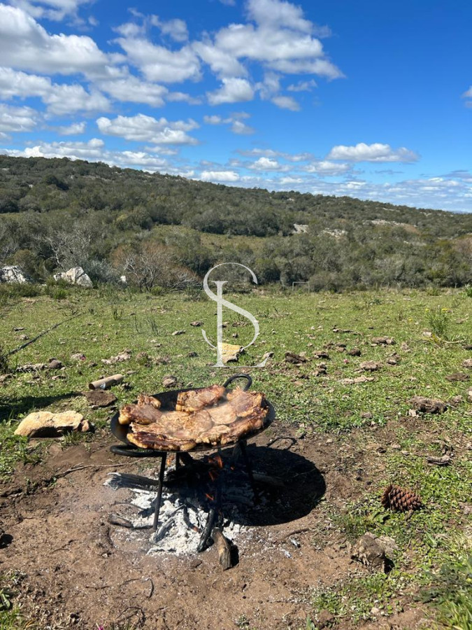 Chacra ID.149 - Chacra de 5 hts en Carape 