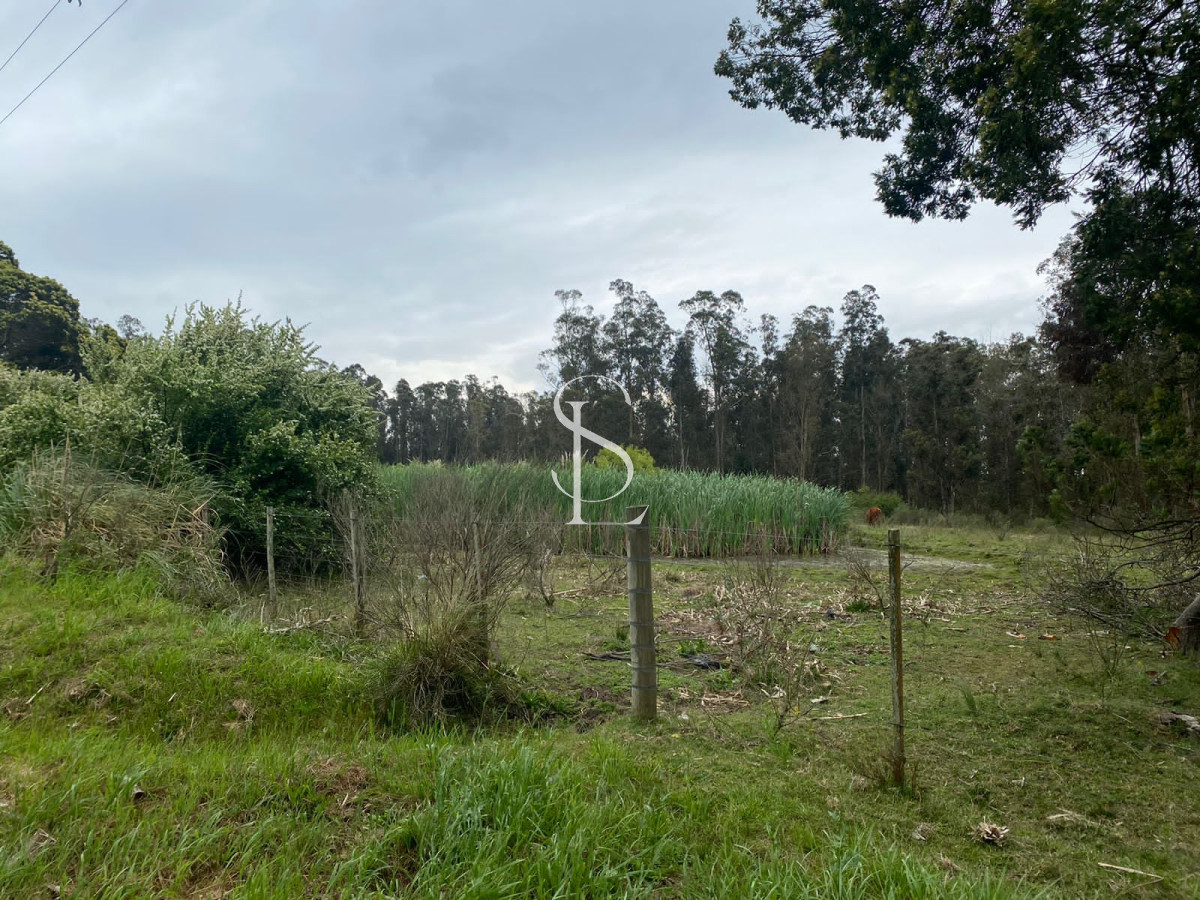Chacra ID.58 - Chacra sobre ruta 104