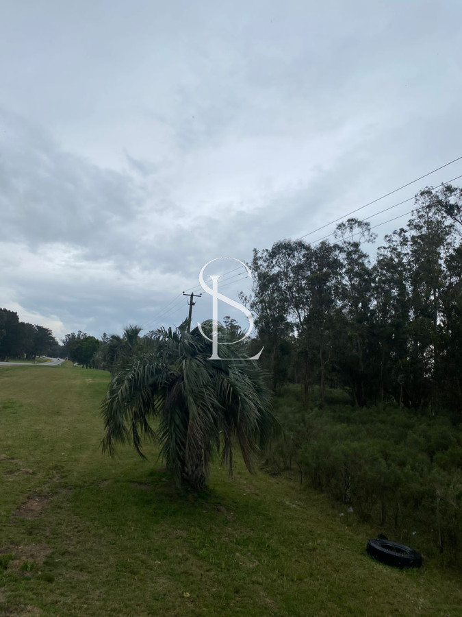 Chacra ID.58 - Chacra sobre ruta 104