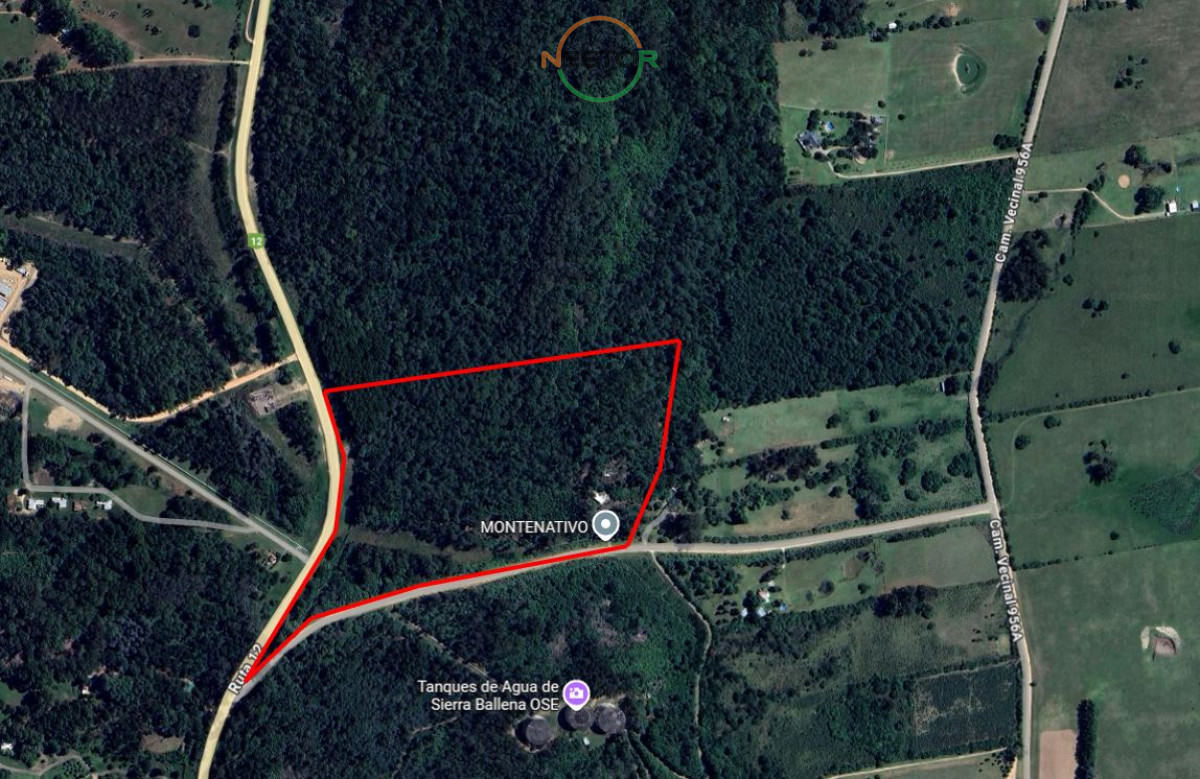 Chacra ID.6829 - Chacra en Venta en Punta Ballena – Excelente Ubicación y Vistas Panorámicas