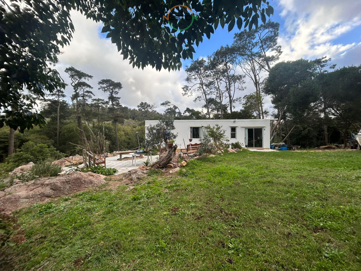 Chacra ID.6829 - Chacra en Venta en Punta Ballena – Excelente Ubicación y Vistas Panorámicas