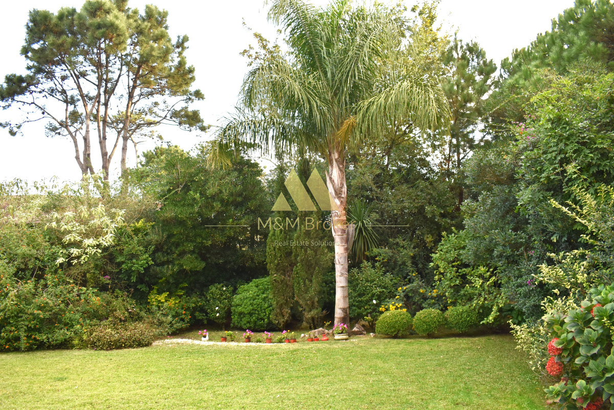 Casa ID.797 -  Cabaña luminosa con jardín privado en Pinares, Punta del Este