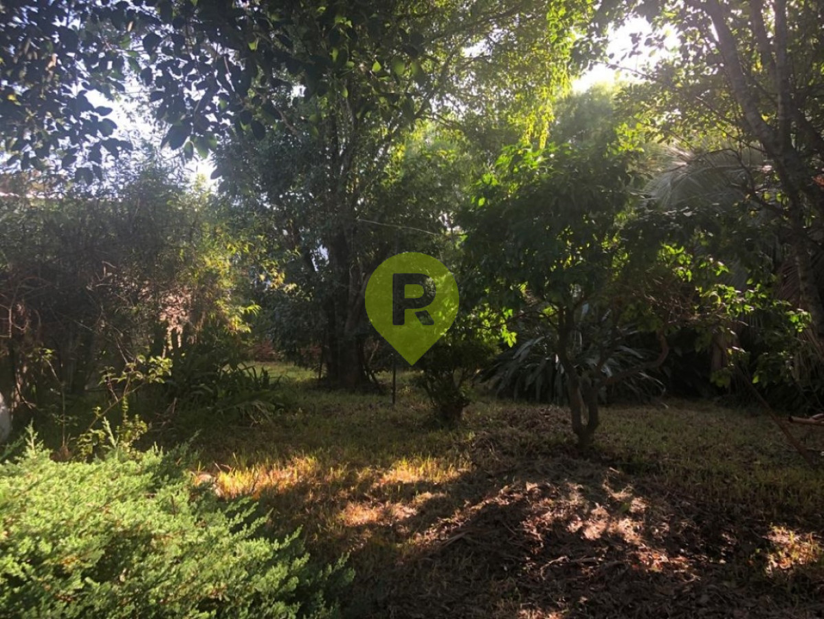https://ri.com.uy/f/556/1/1200/0/0/0/13792.jpg