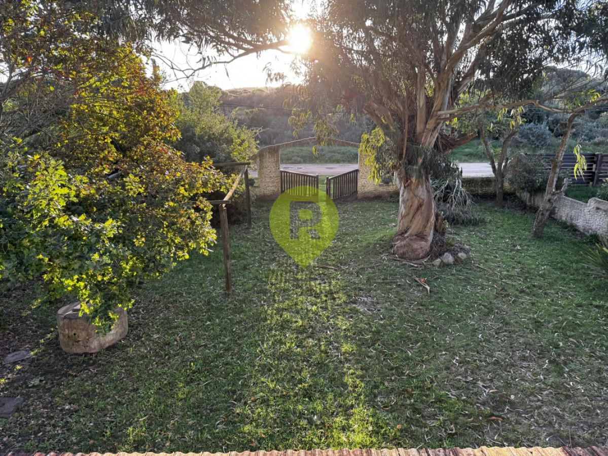https://ri.com.uy/f/556/1/1200/0/0/0/18253.jpg