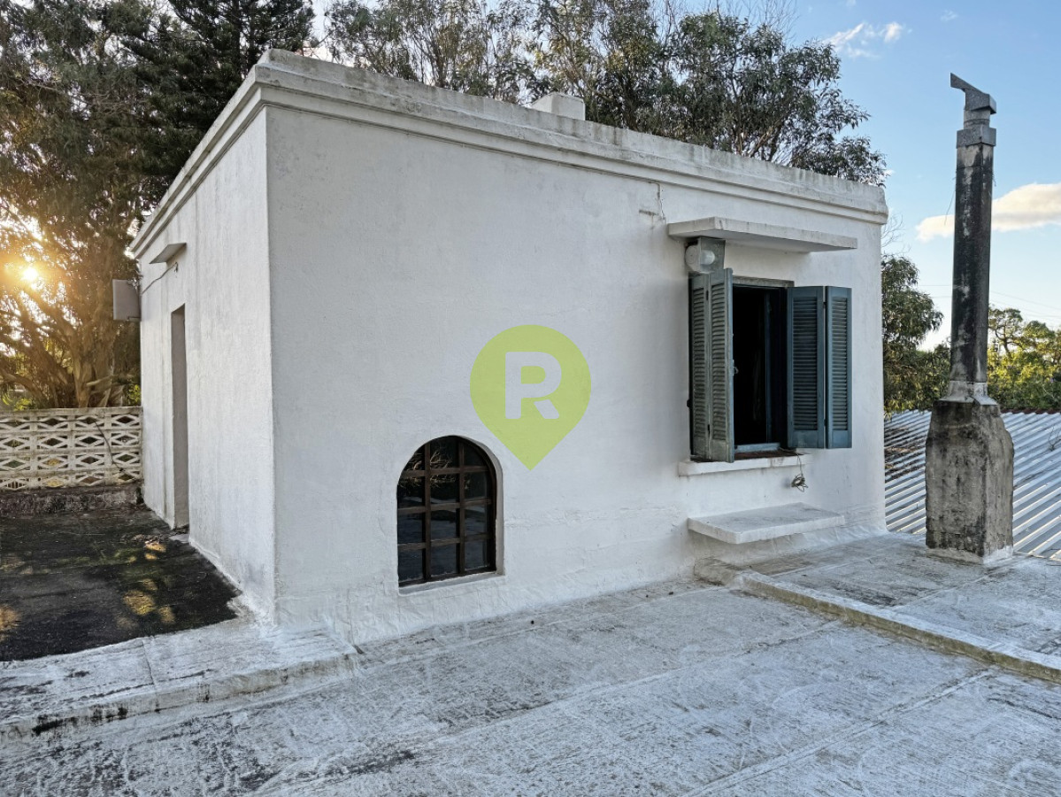 https://ri.com.uy/f/556/1/1200/0/0/0/18256.jpg