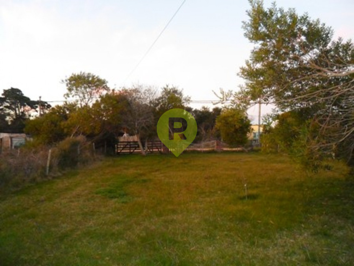 https://ri.com.uy/f/556/1/1200/0/0/0/2136.jpg