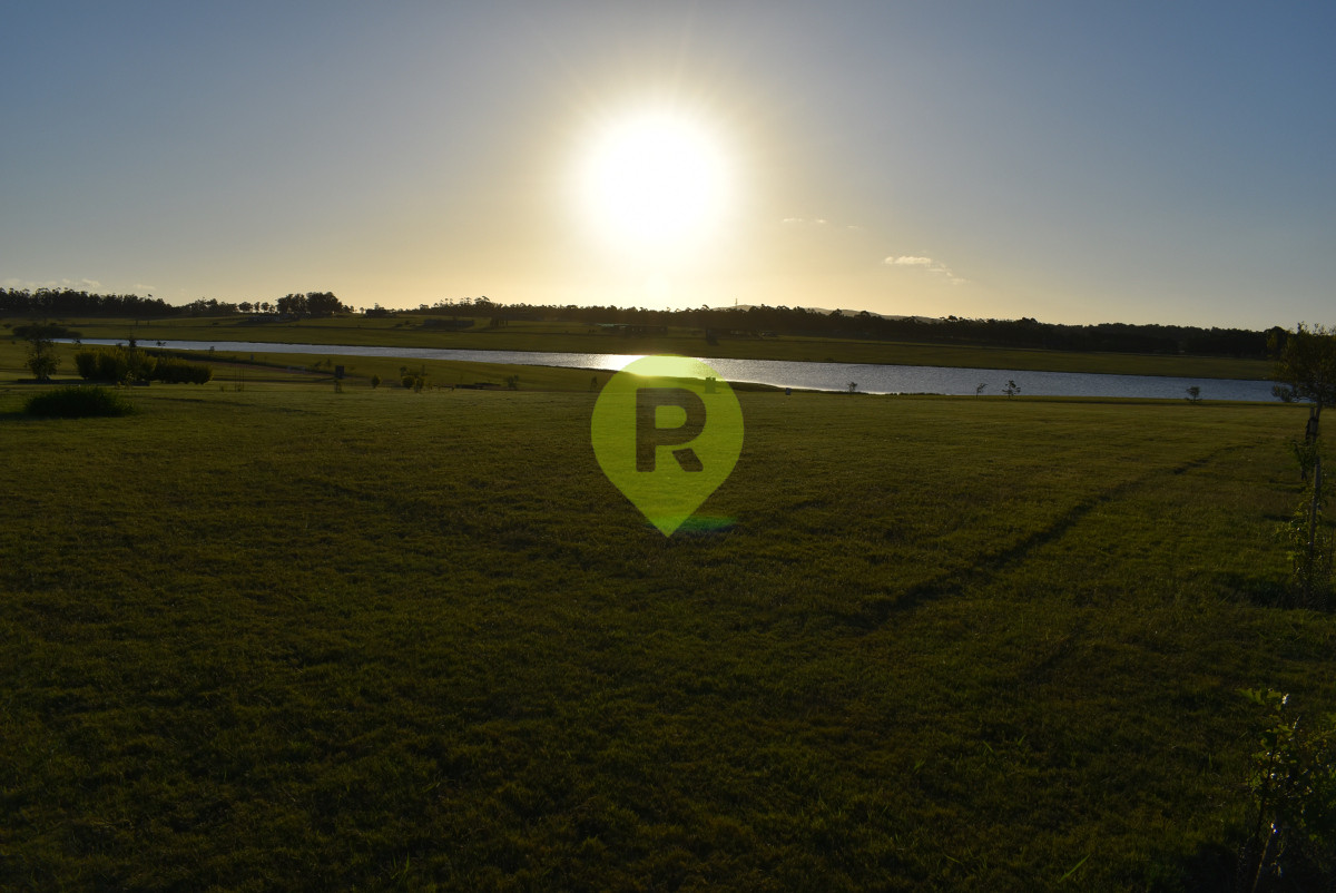 https://ri.com.uy/f/556/1/1200/0/0/0/3b383bfe3b95e08dfca06b5e742a9f49.jpg