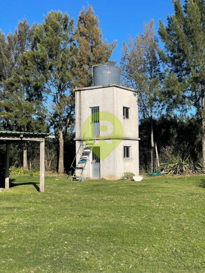 https://ri.com.uy/f/556/2/1200/0/0/0/a145069def0d081475f578c5f5047473.jpg