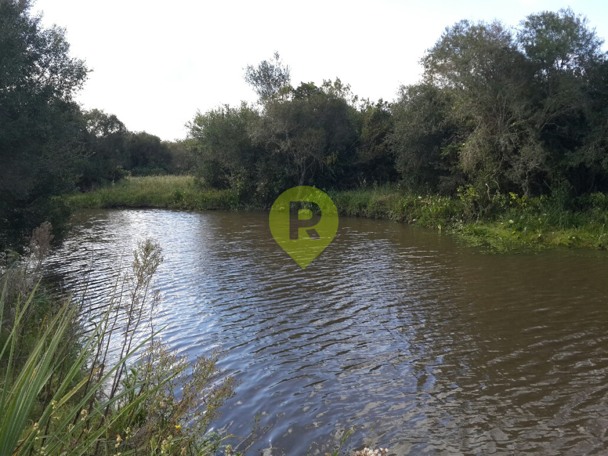 https://ri.com.uy/f/556/2/1200/0/0/0/db5ae29257e147202d0d85add2657045.jpg
