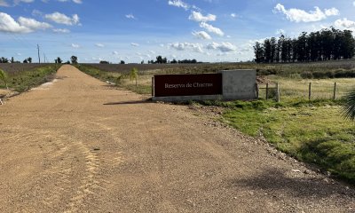 Oportunidad única en Rocha: campo agrícola con potencial de desarrollo inmobiliario e industrial