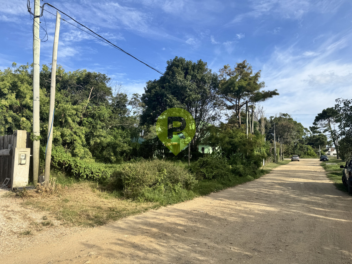https://ri.com.uy/f/556/5/1200/0/0/0/1410cb3f52782ca72031be08ac110675.jpg